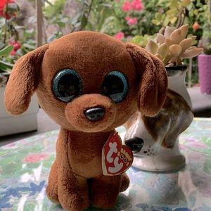 Ty The Beanie Boo’s Collection Dougie Beanie baby #17